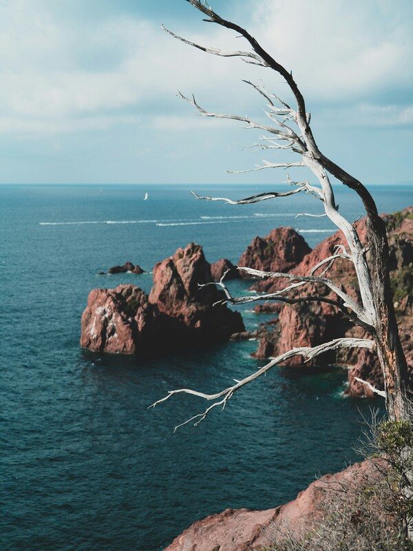 florian-gretillat-L6xeOrzMpW4-unsplash
